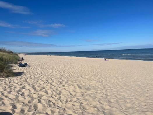 Doppelhaushälfte zur Miete 1.800 € 4,5 Zimmer 105 m² frei ab 31.08.2026 Zinnowitz 17454