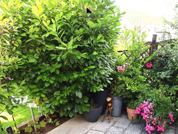 Reihenmittelhaus zum Kauf 450.000 € 4 Zimmer 116 m² 104 m² Grundstück frei ab sofort Schnait Weinstadt 71384