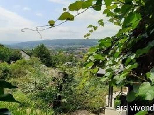 Einfamilienhaus zur Miete 1.100 € 4 Zimmer 136 m² 800 m² Grundstück Hellstein Brachttal 63636