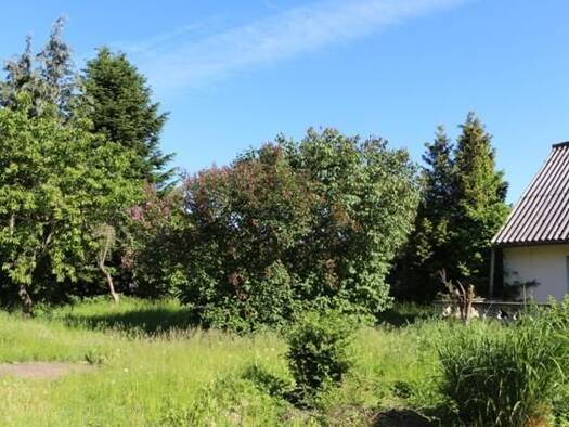 Haus zum Kauf 98.000 € 6 Zimmer 190 m² 1.485 m² Grundstück Waschow Wittendörp 19243