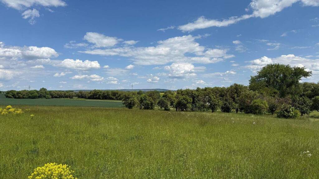 Grundstück zum Kauf 105.570 € 621 m² Grundstück Am Stollengarten Marlishausen Arnstadt 99310