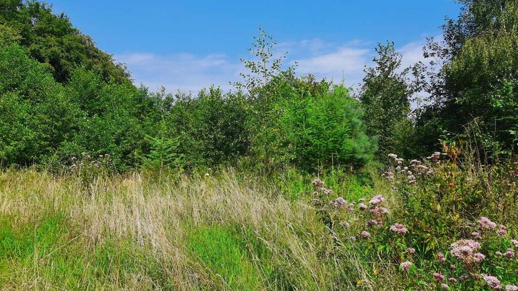 Grundstück zum Kauf 799.000 € 12.000 m² Grundstück Rüdinghausen Witten 58453