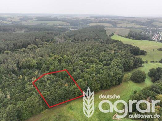 Land-/Forstwirtschaft zum Kauf 9.900 € 7.513 m² Grundstück Frankenthal Gera / Frankenthal 07548