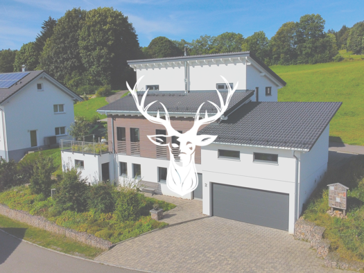 Einfamilienhaus zum Kauf 799.000 € 4,5 Zimmer 168 m² 760 m² Grundstück Wittenschwand Dachsberg (Südschwarzwald) 79875