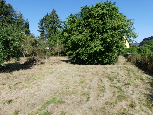 Grundstück zum Kauf 210.000 € 1.911 m² Grundstück Lindenalle 15 Klein Gischow Jürgenshagen 18246