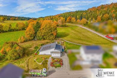 Bungalow zum Kauf 699.000 € 3 Zimmer 149,6 m² 953 m² Grundstück Hölzle 6 Wittenschwand Dachsberg (Südschwarzwald) 79875