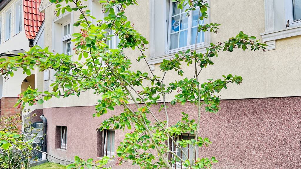 Mehrfamilienhaus zum Kauf als Kapitalanlage geeignet 345.000 € 9 Zimmer 265 m² 846 m² Grundstück Poststraße 24 Hagenow 19230