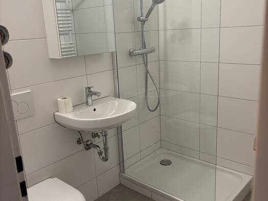 Wohnung zur Miete 500 € 1 Zimmer 28 m² Geschoss 5/7 frei ab sofort Rosenau Nürnberg 90429