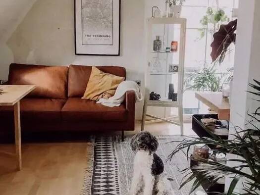 Wohnung zur Miete 620 € 3 Zimmer 54 m² Geschoss 2/3 frei ab 01.11.2026 Burk Forchheim 91301