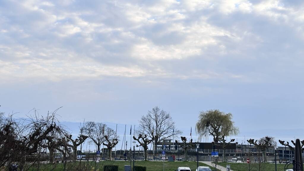 Wohnung zur Miete 970 € 2 Zimmer 54 m² 1. Geschoss Langenargen 88085