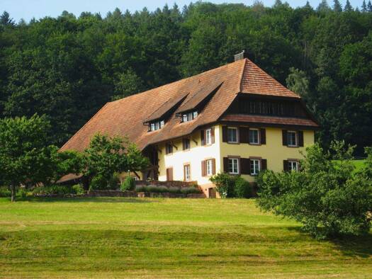 Bauernhof zum Kauf provisionsfrei 5.800.000 € 580 m² 230.000 m² Grundstück Wiehre Freiburg im Breisgau 79100