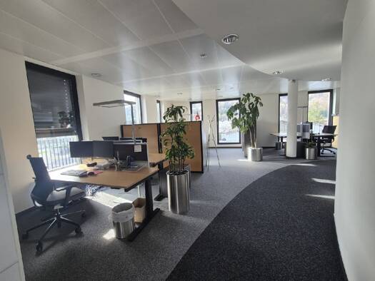 Bürofläche zur Miete 14,41 € 241 m² Bürofläche Bergheim 5101
