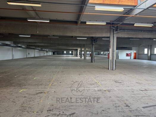 Lagerhalle zur Miete 5.800 m² Lagerfläche Bad Oldesloe 23843