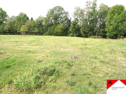 Immobilie zum Kauf 579.000 € 9 Zimmer 220 m² 7.201 m² Grundstück Stadthagen Stadthagen 31655