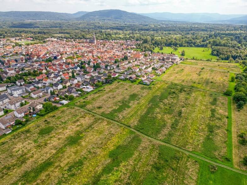 Grundstück zum Kauf 267.500 € 461 m² Grundstück Muggensturm 76461