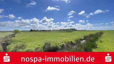 Land-/Forstwirtschaft zum Kauf 55.000 € 18.964 m² Grundstück Midlum 25938