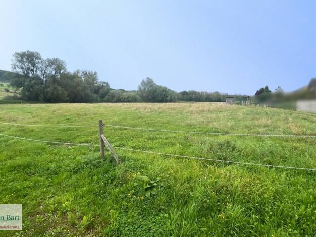 Grundstück zum Kauf 224.800 € 4.000 m² Grundstück Körrig Merzkirchen / Körrig 54439