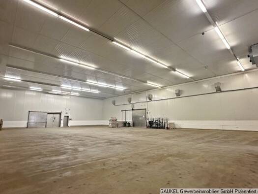 Lagerhalle zur Miete provisionsfrei 500 m² Lagerfläche Woringen 87789