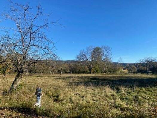 Grundstück zum Kauf 722.800 € 2.224 m² Grundstück Lanzenkirchen 2821