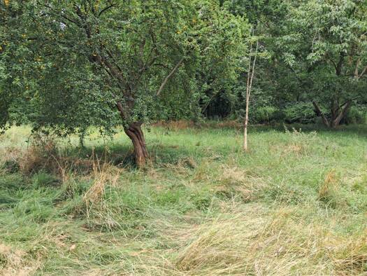 Grundstück zum Kauf provisionsfrei 120.000 € 3.550 m² Grundstück Hitzacker Hitzacker 29456