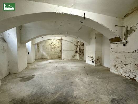 Lagerhalle zur Miete 250 € 48,7 m² Lagerfläche Sautergasse 28 Hernals 1170