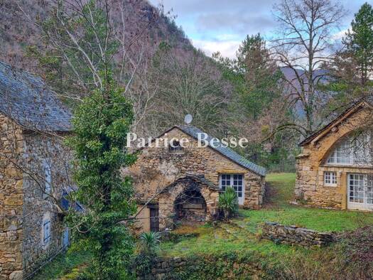 Reihenmittelhaus zum Kauf 550.000 € 10 Zimmer 184 m² 89.581 m² Grundstück Ispagnac 48320