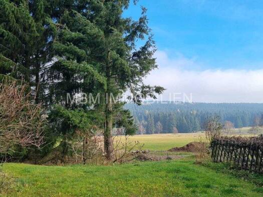 Einfamilienhaus zum Kauf 7 Zimmer 135 m² 2.000 m² Grundstück Schellerhau Altenberg 01773