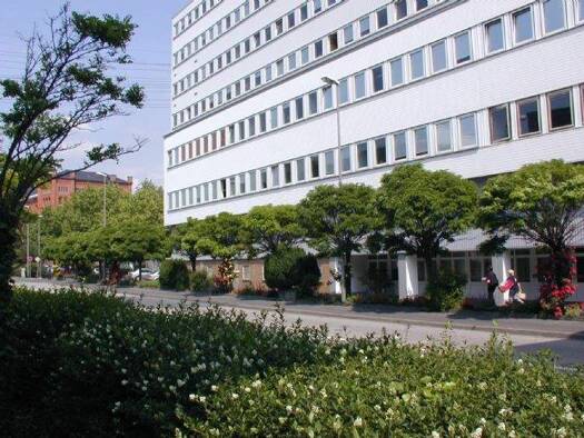 Bürofläche zur Miete provisionsfrei 11,53 € 375 m² Bürofläche Rheingaustraße 196 Biebrich Wiesbaden 65203