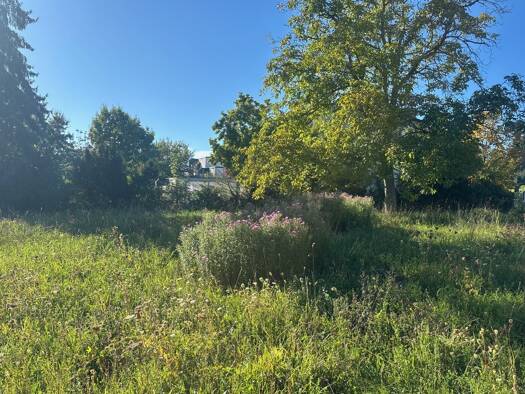 Grundstück zum Kauf provisionsfrei 888.720 € 644 m² Grundstück Egger Str. Allmannsdorf Konstanz 78464