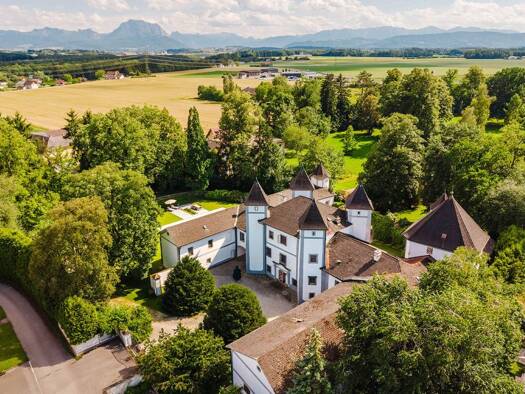 Schloss zum Kauf 4.490.000 € 17 Zimmer 900 m² 27.362 m² Grundstück Desselbrunn 4693