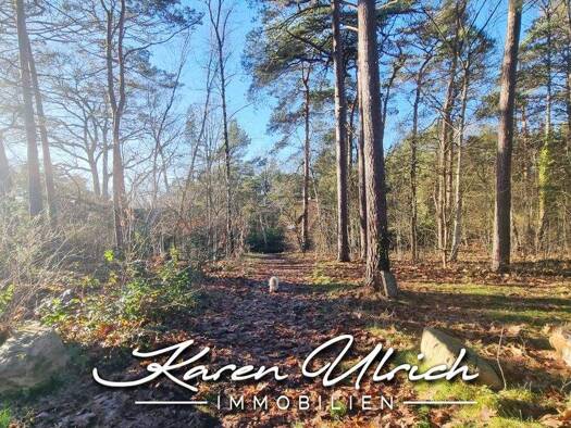 Grundstück zum Kauf 299.000 € 2.377 m² Grundstück Höhenweg 16 Horst Seevetal 21220