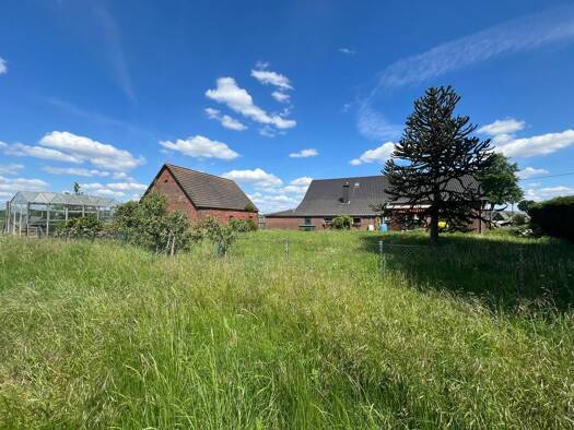 Einfamilienhaus zum Kauf 349.900 € 4 Zimmer 167 m² 4.000 m² Grundstück Isselburg 46419