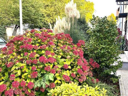 Wohnung zur Miete 680 € 2 Zimmer 55 m² 2. Geschoss frei ab sofort Käfertal Mannheim 68309