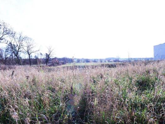 Land-/Forstwirtschaft zum Kauf 82.500 € 1.900 m² Grundstück Innenstadt Wolfsburg / Neindorf 38446