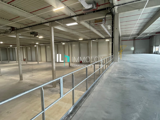 Lagerhalle zur Miete provisionsfrei 10.100 m² Lagerfläche Darmstadt 64293