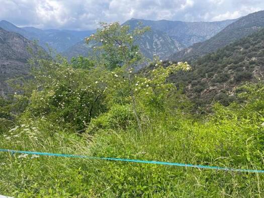 Acker-/Waldstück zum Kauf 1.500.000 € Sant Julià de Vilatorta AD600
