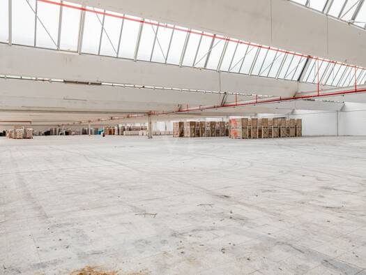 Lagerhalle zur Miete 4.846,9 m² Lagerfläche Aschendorf Papenburg 26871
