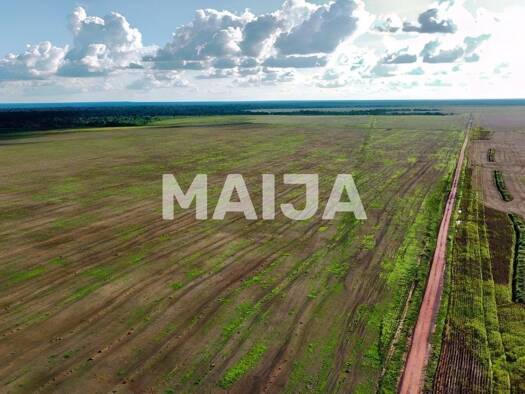 Bauernhof zum Kauf 55.000.000 € Hectare Operational Grain Estate Alta Floresta 78580-000