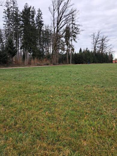 Grundstück zum Kauf 240.000 € 724 m² Grundstück Kirchweidach Kirchweidach 84558