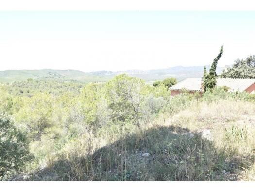 Acker-/Waldstück zum Kauf 14.500 € la Bisbal del Penedès 43717