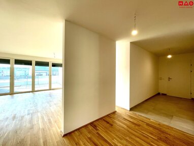 Terrassenwohnung zum Kauf provisionsfrei 434.000 € 3 Zimmer 84,8 m² Ramsauerstraße Waldegg Linz 4020