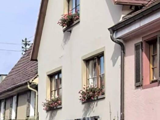 Studio zur Miete 450 € 1 Zimmer 20 m² Burkheim Vogtsburg im Kaiserstuhl 79235