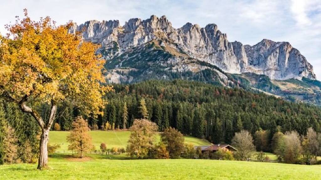 Grundstück zum Kauf provisionsfrei Scheffau am Wilden Kaiser 6351