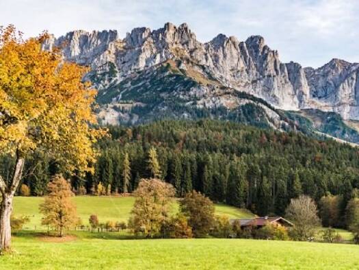 Grundstück zum Kauf provisionsfrei Scheffau am Wilden Kaiser 6351