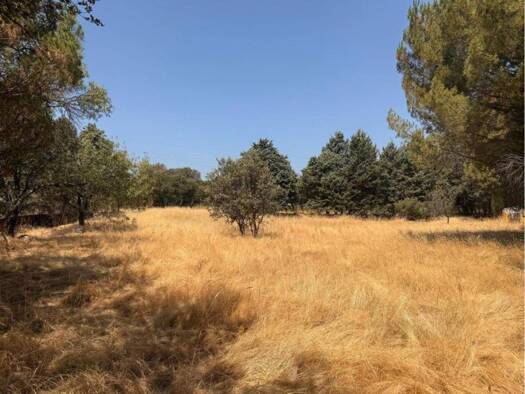 Acker-/Waldstück zum Kauf 295.000 € >Camino de los Barrizales > Collado Mediano 28450