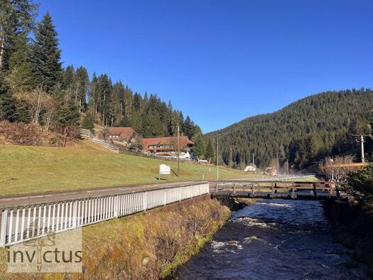 Wohnung zum Kauf 59.000 € 3 Zimmer 66,6 m² Bad Rippoldsau Bad Rippoldsau-Schapbach 77776