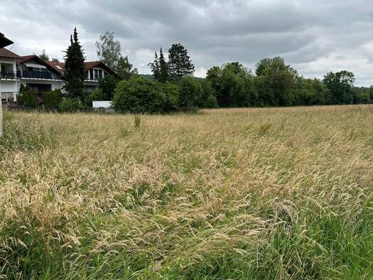 Grundstück zum Kauf 1.300.000 € 1.862 m² Grundstück frei ab sofort Wildsachsen Hofheim am Taunus 65719