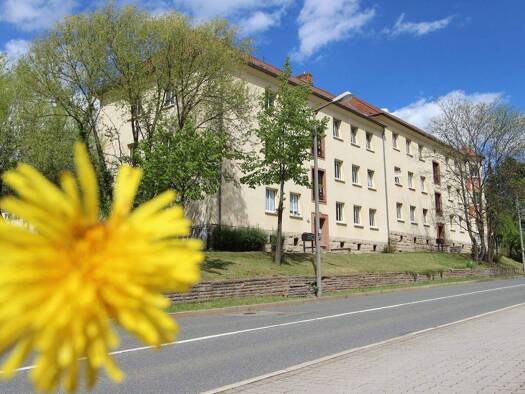 Wohnung zur Miete 355 € 3 Zimmer 65,6 m² 2. Geschoss Altenburger Straße 131 Leumnitz Gera 07546