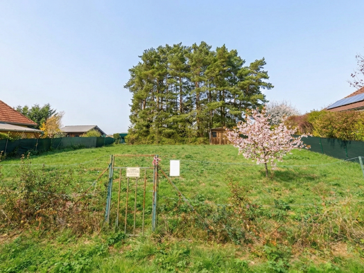 Grundstück zum Kauf 65.000 € 808 m² Grundstück Steinberg 7453