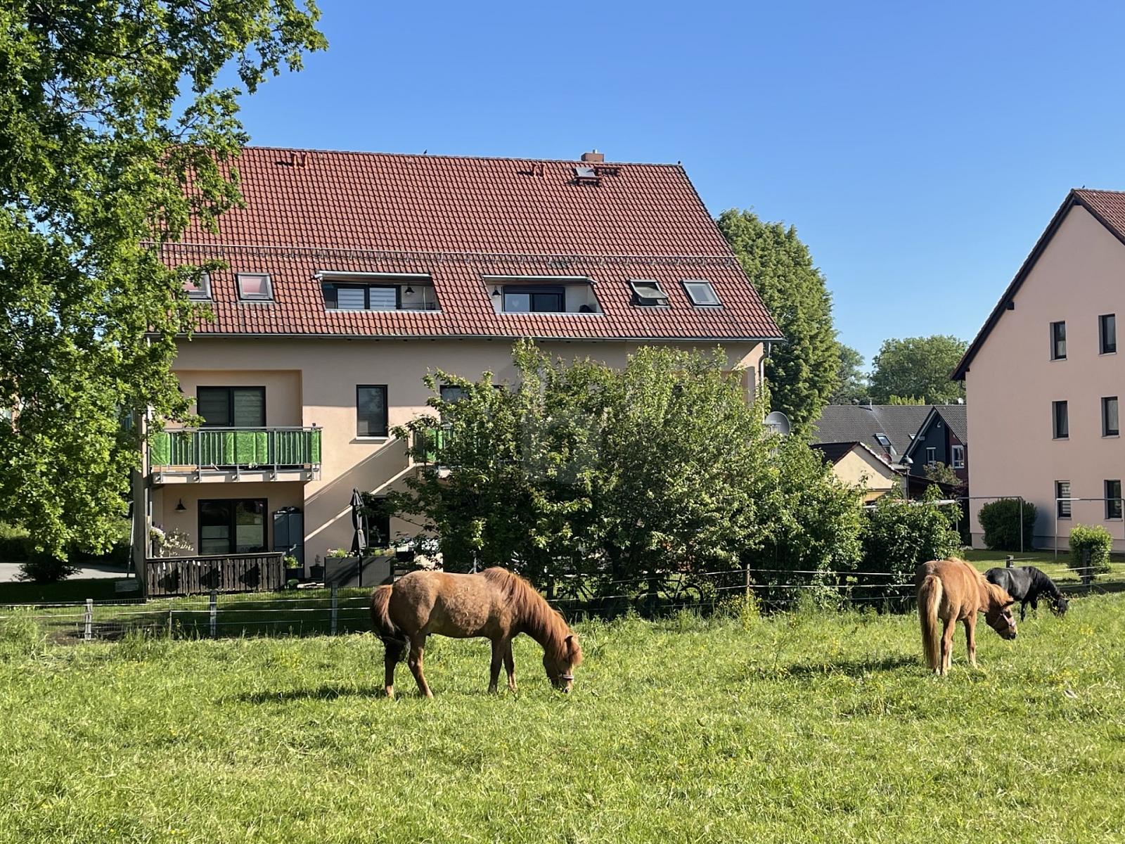 Mehrfamilienhaus zum Kauf als Kapitalanlage geeignet 1.600.000 € 36 Zimmer 942 m²<br/>Wohnfläche 3.000 m²<br/>Grundstück Röhrsdorf 960 Chemnitz 09247